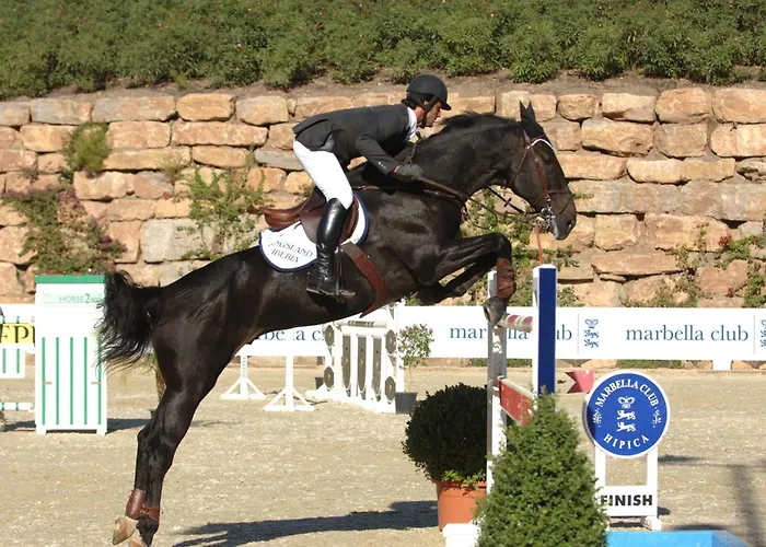 Marbella Luxury Hotels