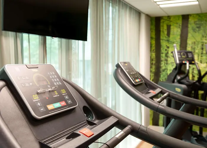 Malaga Pet Friendly Lodging and Hotels near Castillo de Gibralfaro