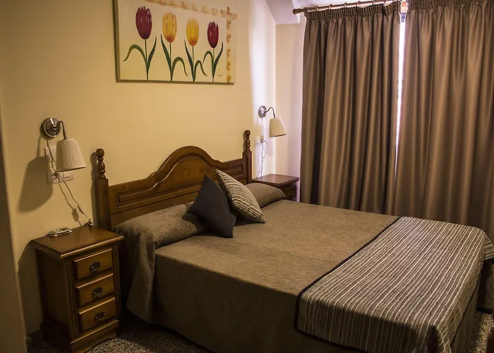 Pet friendly Hotel Reyesol Fuengirola