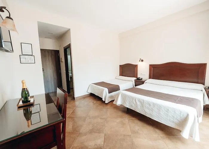 Torremolinos Hotels near Daan Forest Park with shuttle service